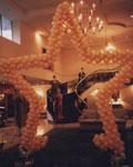 221i1__balloonstararch