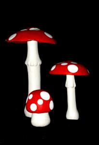 41i1__mushroomset