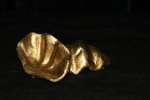 78i1__clamshells2