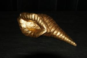 79i1__smallshell