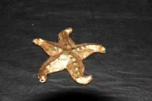 81i1__starfish